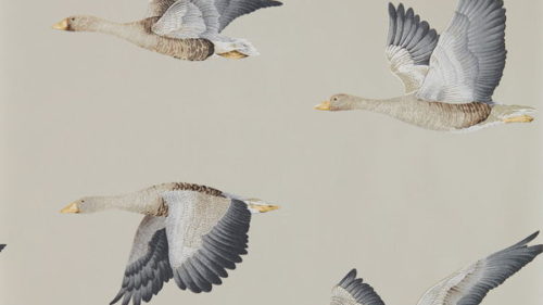 Elysian Geese 216611